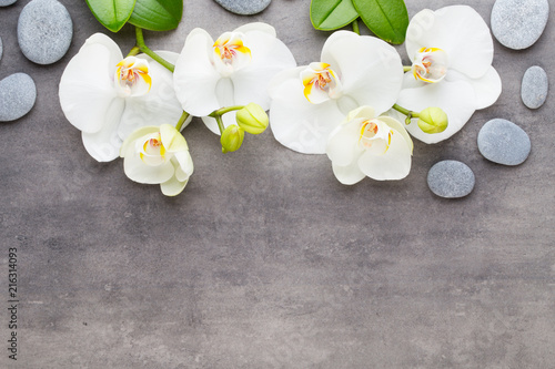 Fototapeta Naklejka Na Ścianę i Meble -  Beauty orchid on a gray background. Spa scene.