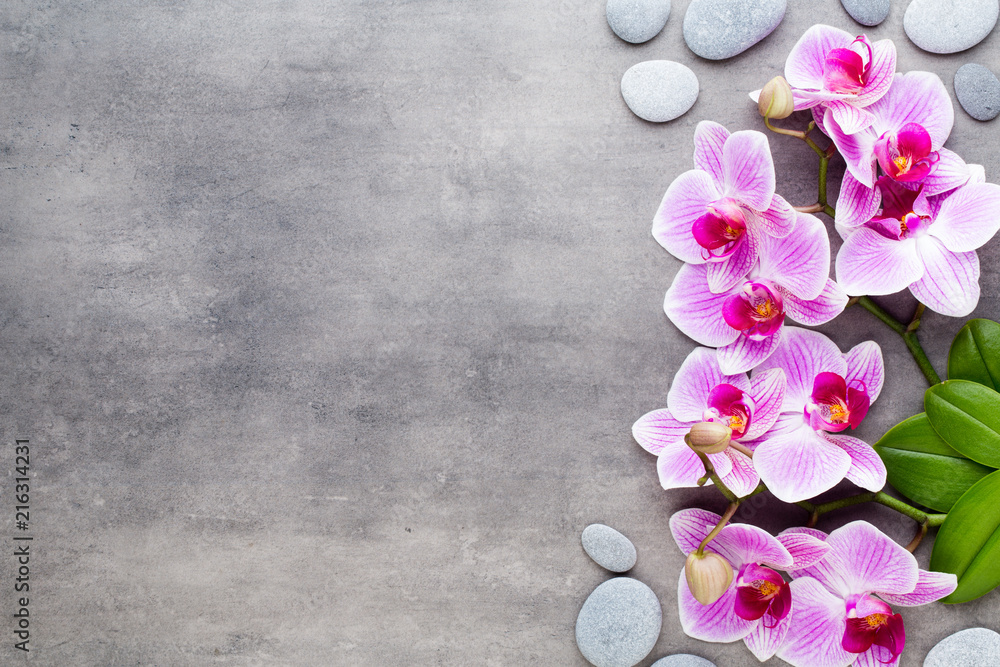 Beauty orchid on a gray background. Spa scene. Beauty orchid on a gray background. Spa scene.