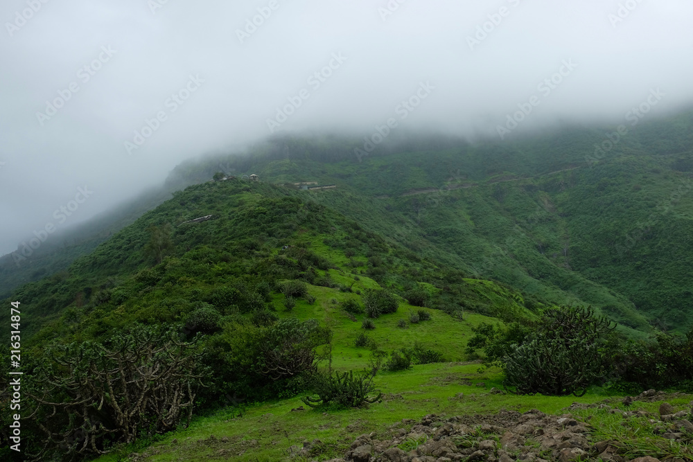 Lush green monsoon nature landscape mountains, hills, Purandar, Maharashtra, India