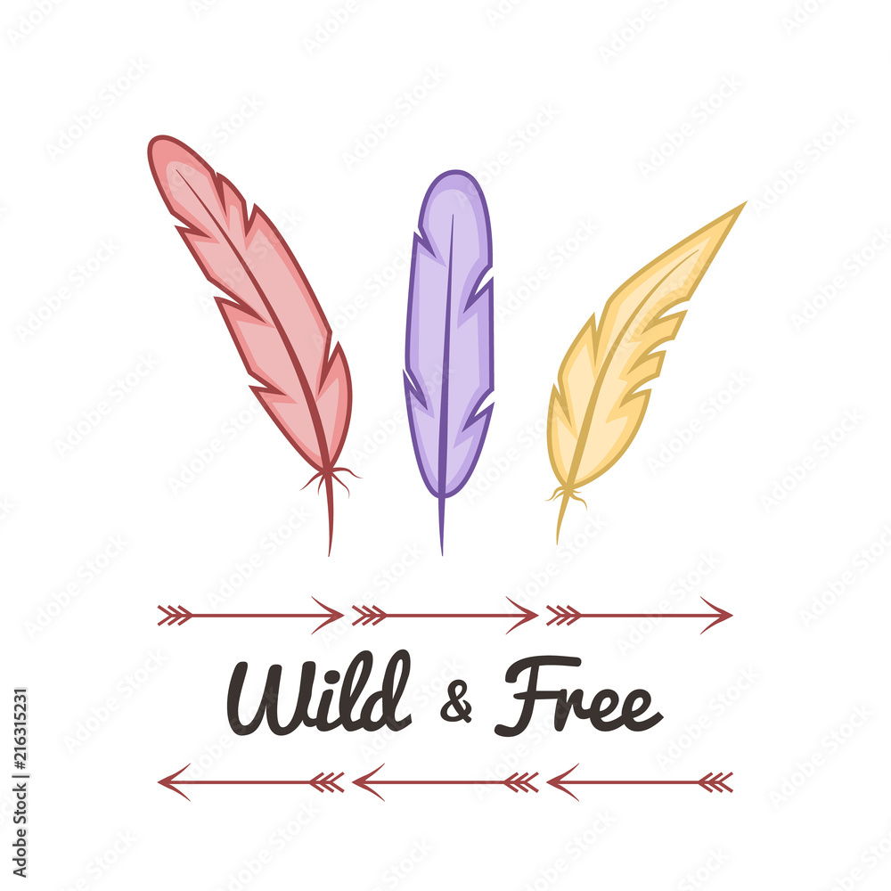 abstract bright feathers on white background. Hand drawn vector illustration. Wild and free abstract bright feathers on white background. Hand drawn vector illustration. Wild and free