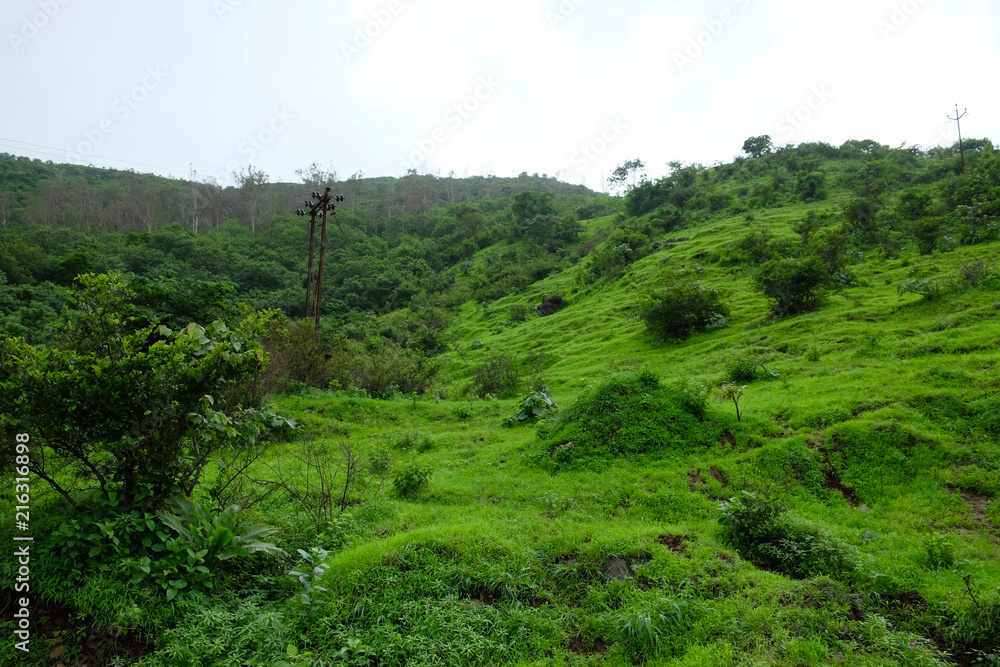 Lush green monsoon nature landscape mountains, hills, Purandar, Maharashtra, India