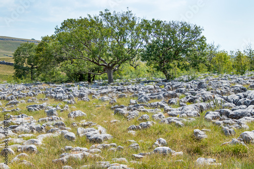 View of the Limestone Pavement near the village of Conistone in the Yorkshire Dales National Park photo