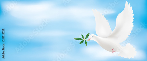 Web banner 3d illustration with dove and olive branch with sky background