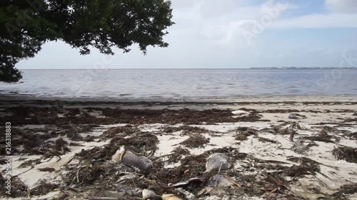 Effects of Red Tide - Sanibel Florida 2018