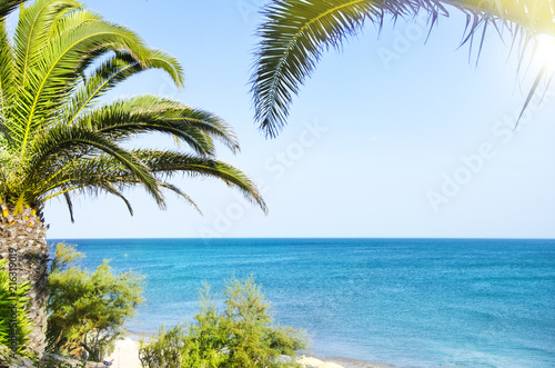 Palm trees on the beach. Santa Eulalia  Portugal