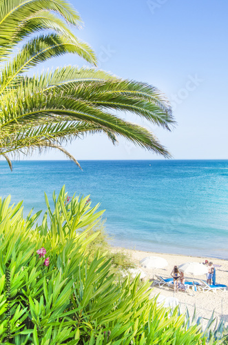 Palm trees on the beach. Santa Eulalia, Portugal