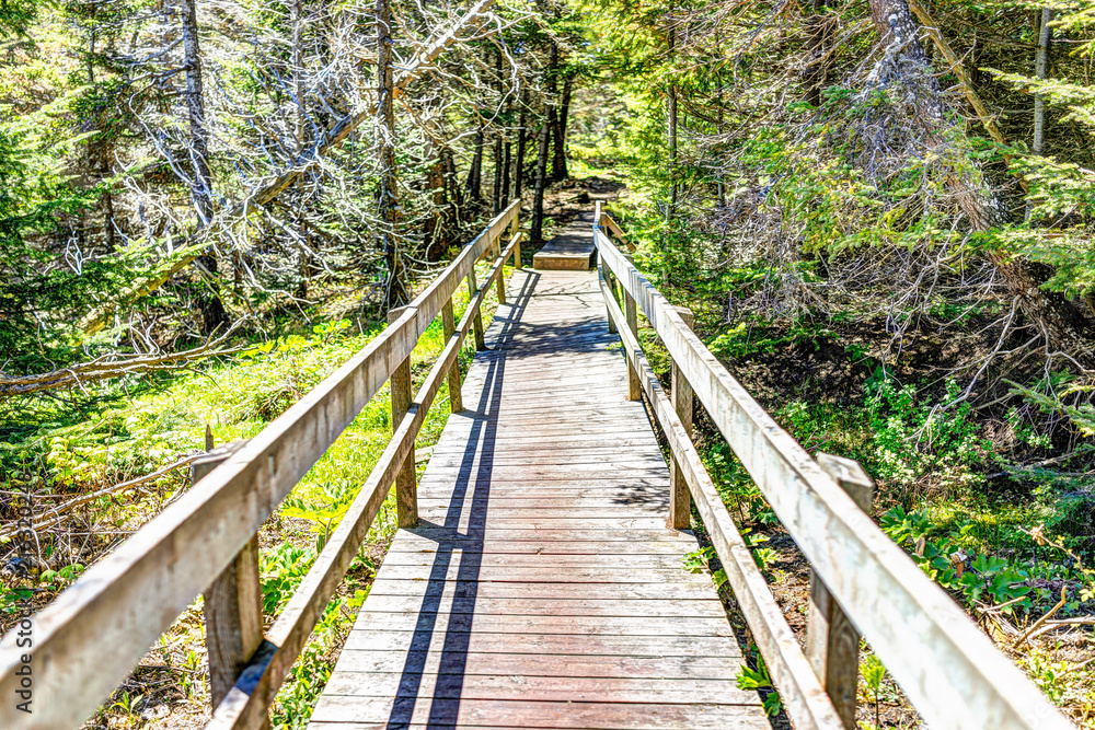 Φωτογραφία Trail hiking in Bonaventure island by Perce, Quebec in Gaspe, Gaspesie region wi
