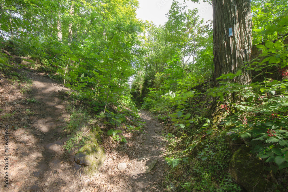 Crevice within the Bruce Trails Splitrock Narrows Crevice within the Bruce Trails Splitrock Narrows