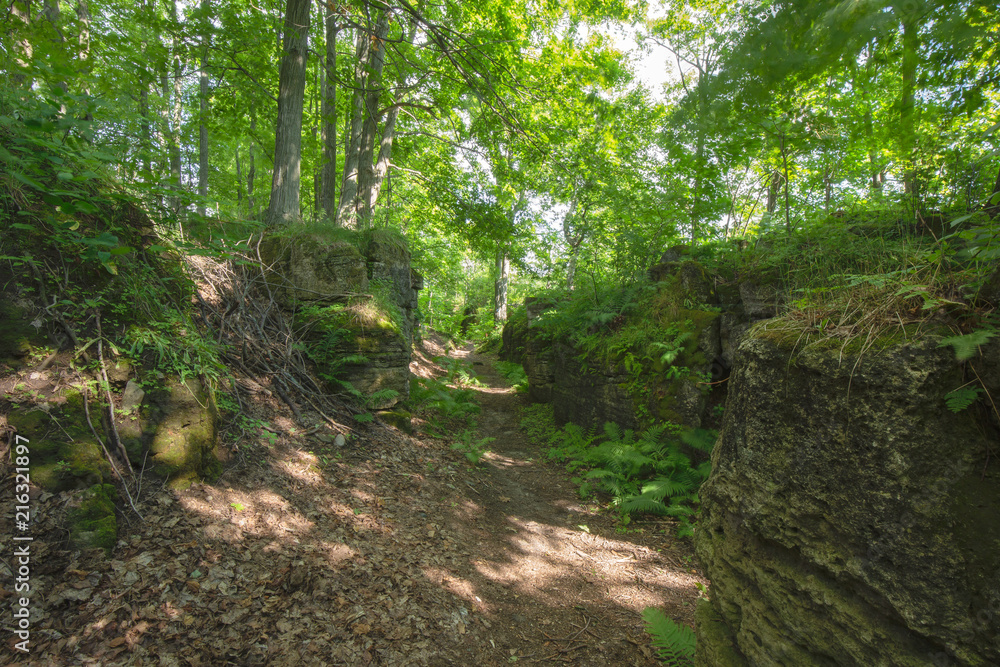 Crevice within the Bruce Trails Splitrock Narrows Crevice within the Bruce Trails Splitrock Narrows