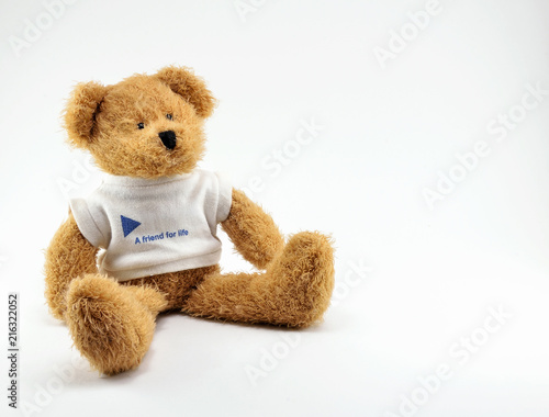 Brown toy Teddy Bear in a white t-shirt with the inscription.