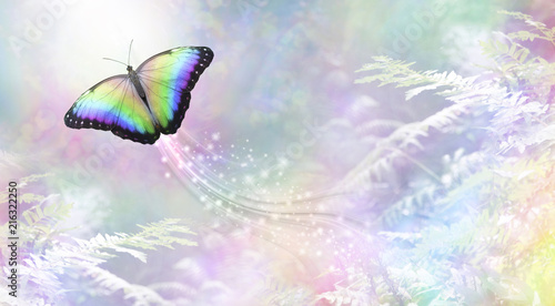 Fényképezés Metaphorical butterfly Into The Light departing soul - a rainbow coloured butter