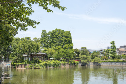 碑文谷公園の弁天池（東京都目黒区） photo