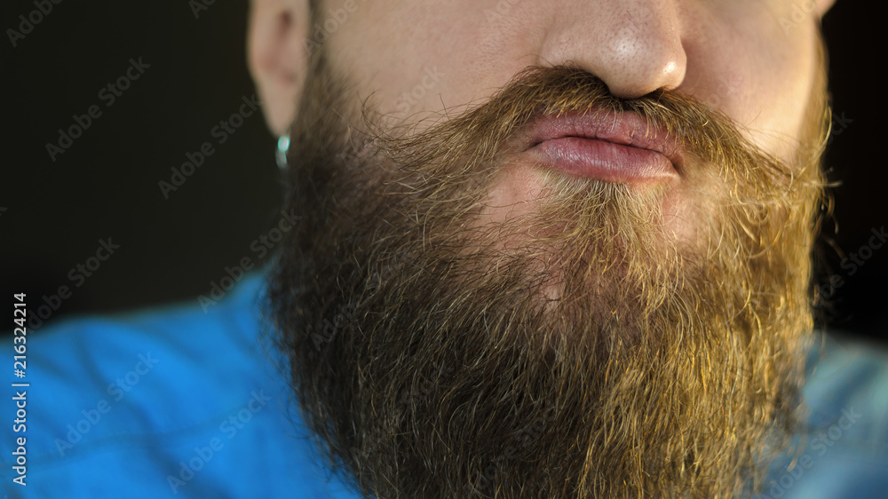 Obraz premium Attributes of the Appearance of a Hipster Male: Mustache and Beard Close Up. Portrait of Bearded Man who Play the Ape