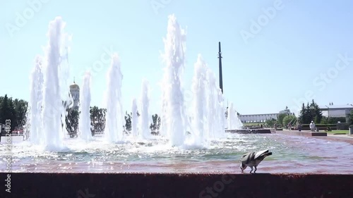 bird drinking from the Fountain in Victory Park on Poklonnaya hill, Moscow, Russia.