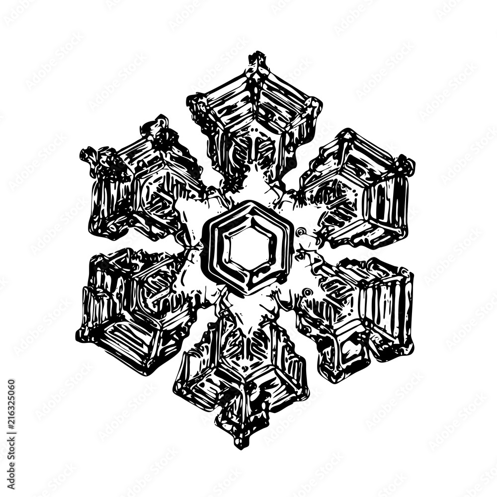 Snowflake on white background. This illustration based on macro photo of real snow crystal: large star plate with fine hexagonal symmetry, six short, broad arms and complex inner details.