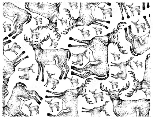Hand Drawn Background of Autumn Whitetail Deers