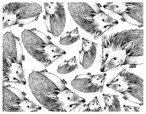 Autumn Animal, Illustration Wallpaper Background of Hand Drawn of Hedgehogs. Symbolic Animal to Show The Signs of Autumn Season.  photo