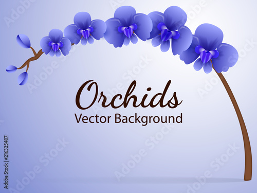 Branch with blue orchid flowers. Vector illustration