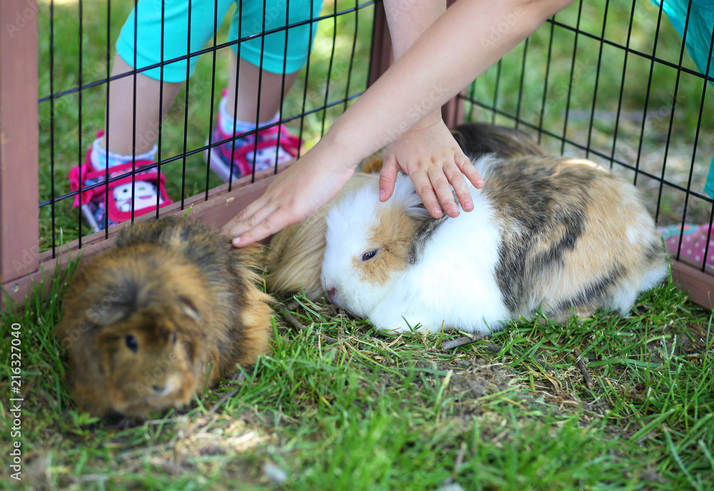 Obraz premium Children touching shy bunny outdoor