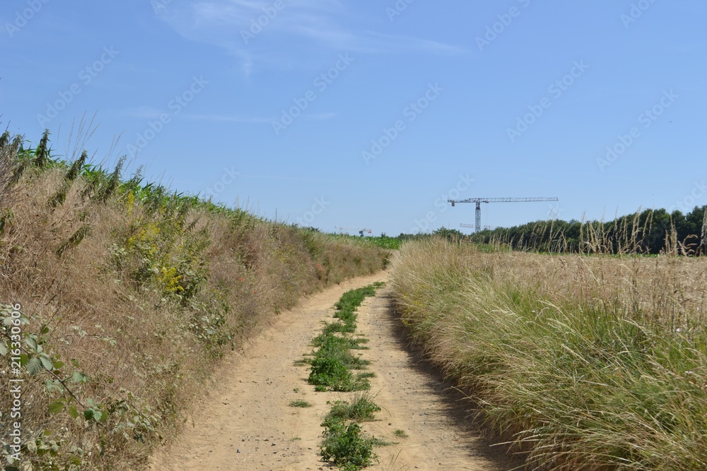 Dusty road adjacent to a slope and a wheat field on a sunny summer's day with blue skies. A construction crane is seen in the background. Dusty road adjacent to a slope and a wheat field on a sunny summer's day with blue skies. A construction crane is seen in the background.