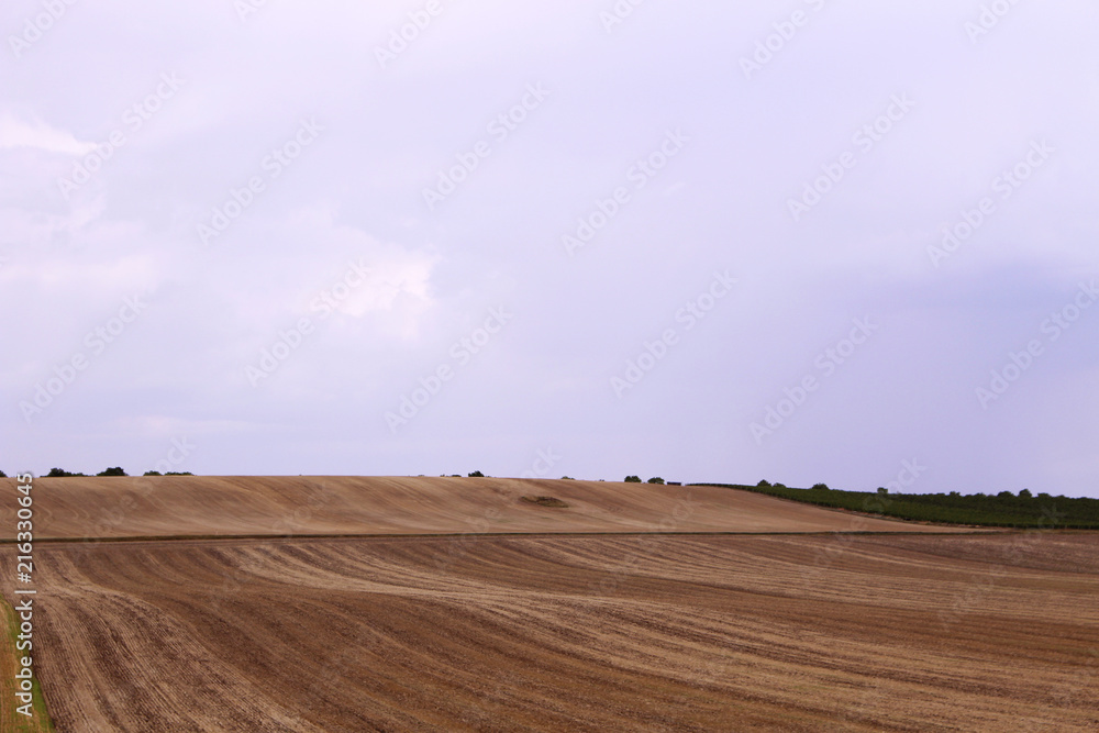 Rolling fields of Moravia, Czech Republic.Beautiful landscape.Beautiful summer lands.