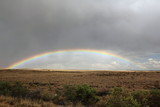 Regenbogen über der Bisti Wilderness Area New Mexico USA