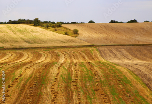 Rolling fields of Moravia  Czech Republic.Beautiful landscape.Beautiful summer lands.
