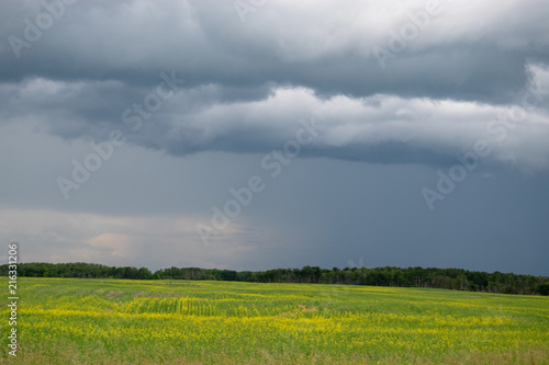 Rain clouds approaching above farmland, Saskatchewan, Canada.