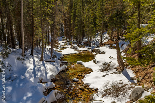 A Brook Winding Through Snow Covered Banks in Sequoia National Park, California