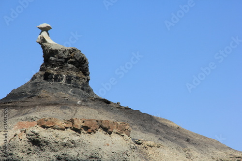 Kleiner Geist bewacht die Hoodoos in der Bistis Wilderness Area New Mexico USA photo