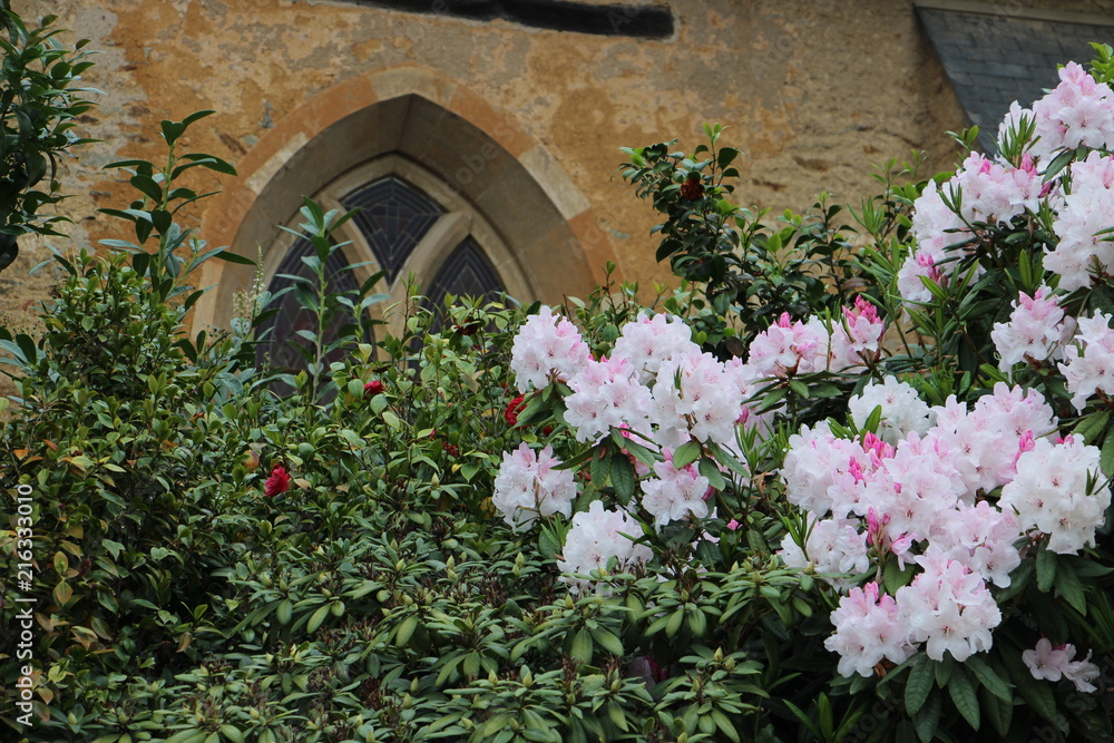 bouquet fleurs fenêtre medievale