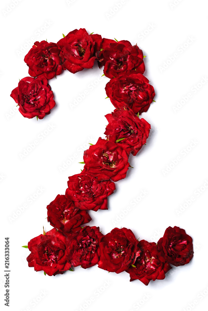 The numbers of red buds of roses flowers