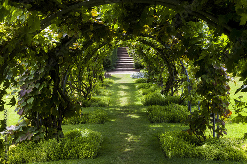 Green Tunnel