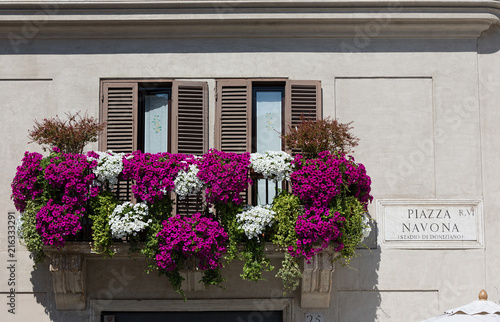 Window and flower boxes with beautiful petunias in Piazza Navona, Rome