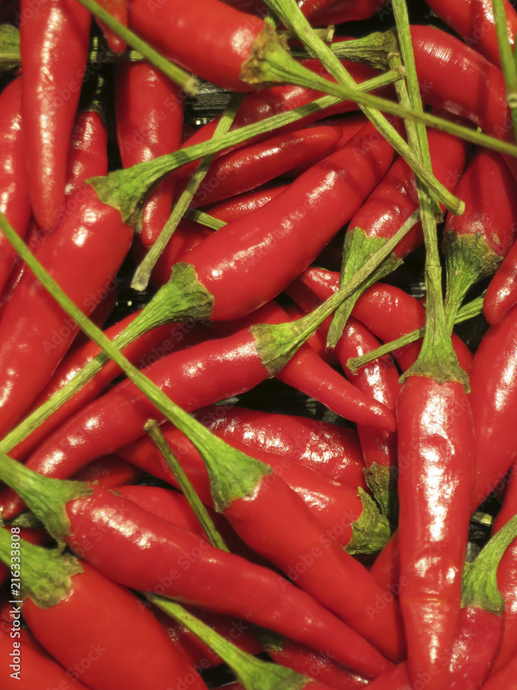 Many red hot chilli peppers with green stems for mexican food on a pile
