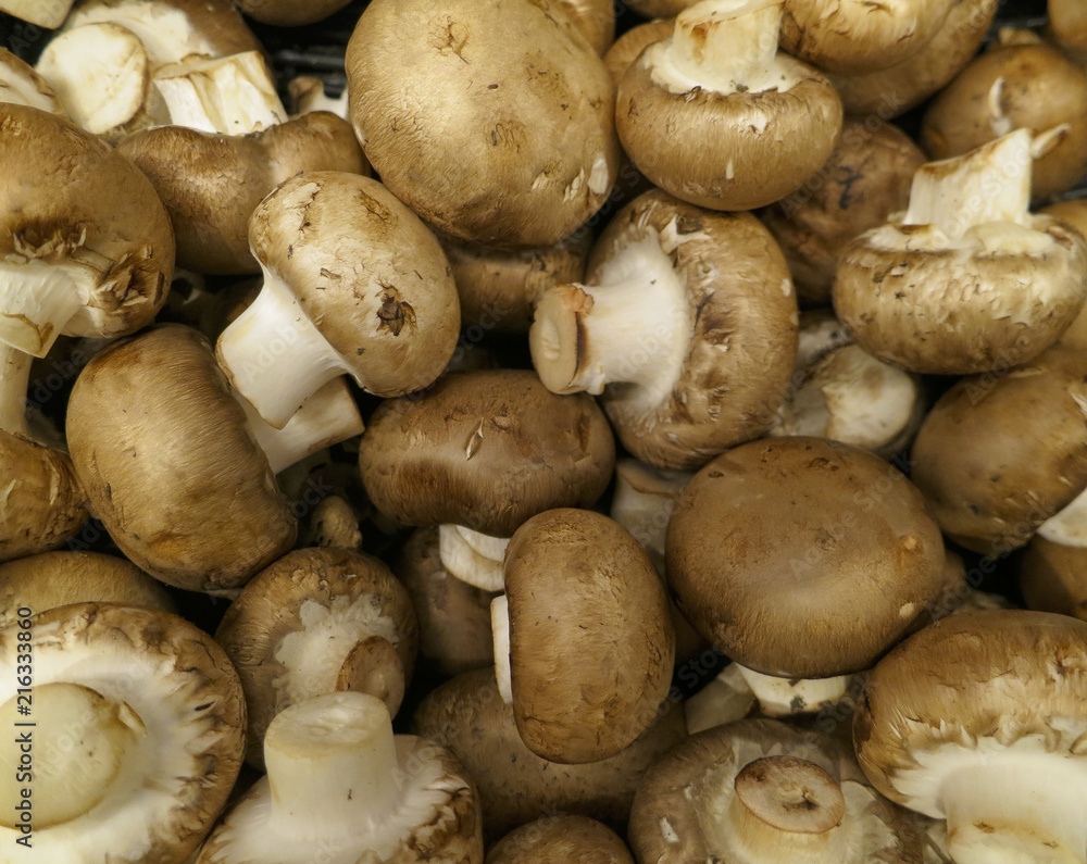 Plenty of freshly harvested mushrooms to cook with and eat after collecting in the forest Plenty of freshly harvested mushrooms to cook with and eat after collecting in the forest
