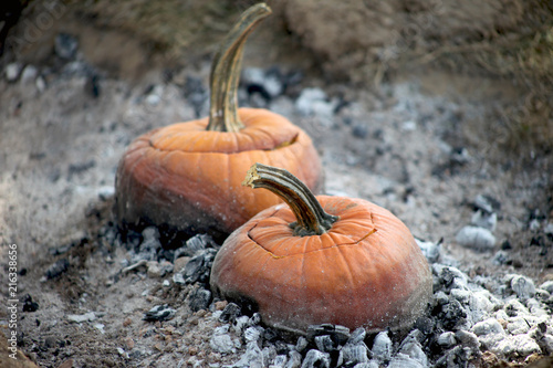 Pumpkin pots with lids cooking soup over hot embers and ashes