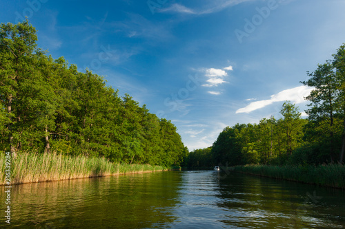 Calm River surrounded by Trees and a Forest on a sunny Summer day in the Federal State of Brandenburg  Germany