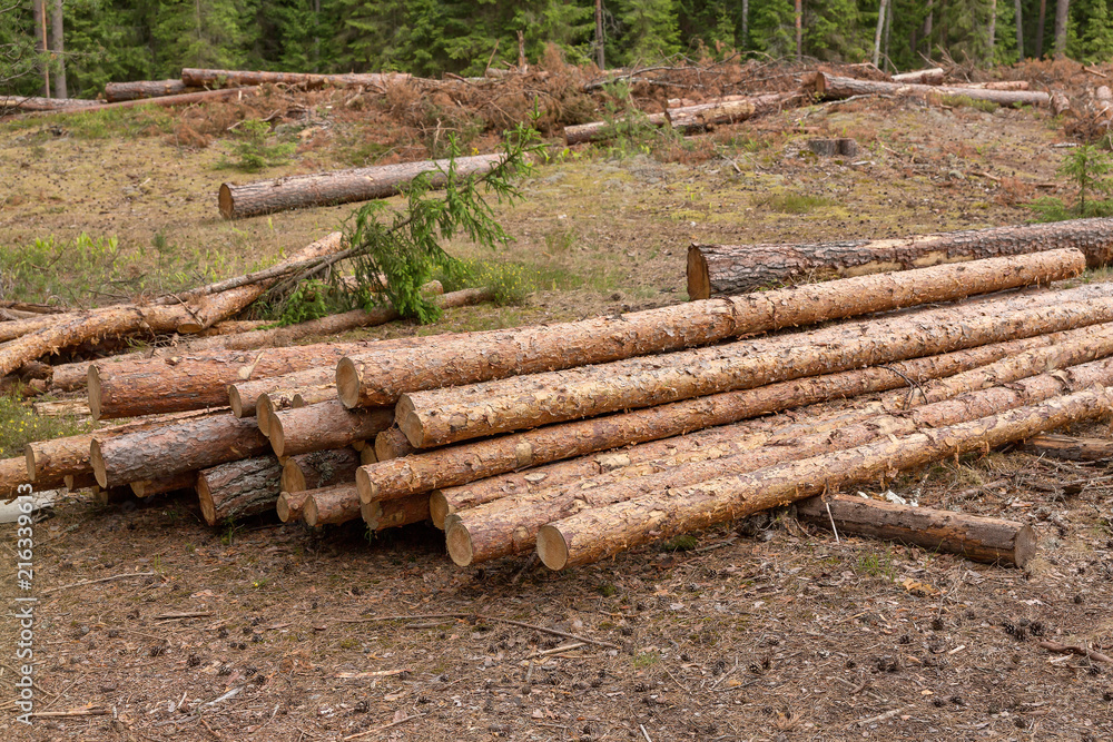 deforestation and Industrial tree logging deforestation and Industrial tree logging