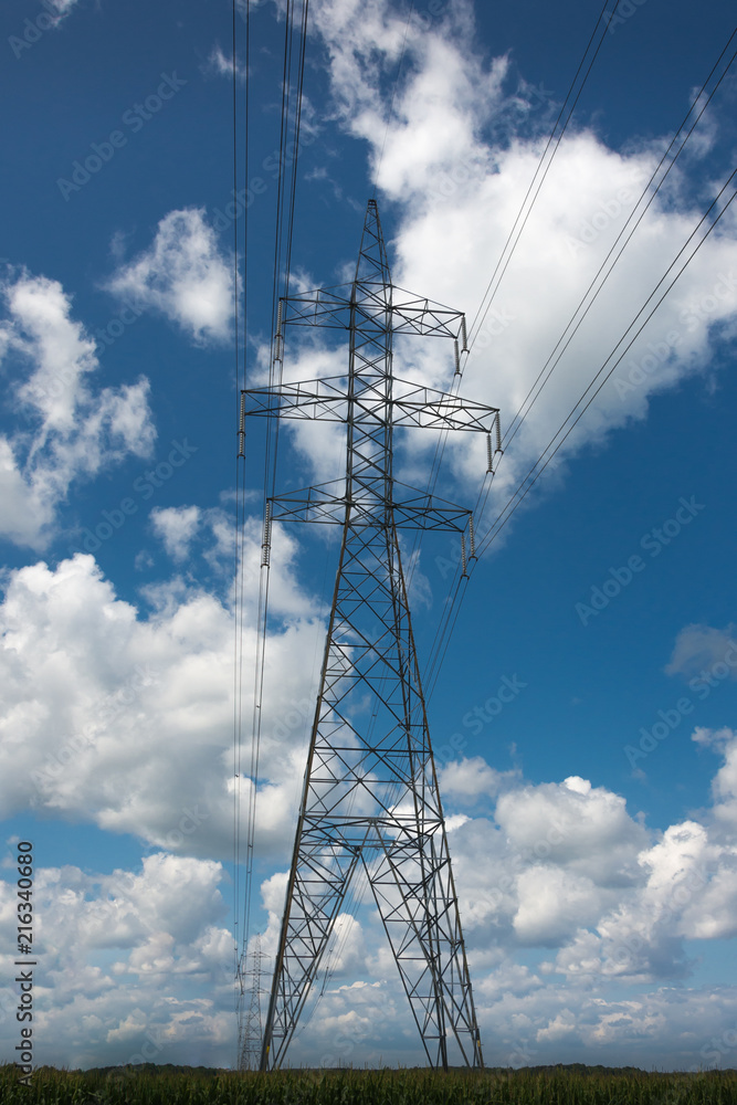 Electrical distribution structure for energy transport Electrical distribution structure for energy transport
