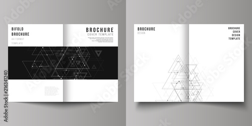 Vector editable layout of two A4 format cover mockups design templates for bifold brochure, magazine, flyer. Polygonal background with triangles, connecting dots and lines. Connection structure.