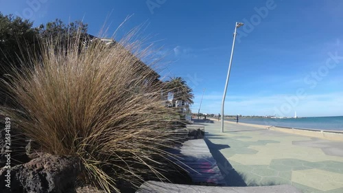 Filmed at the walkway next to the beach in St Kilda in Melbourne, Australia. Little wind is blowing the bushes. photo