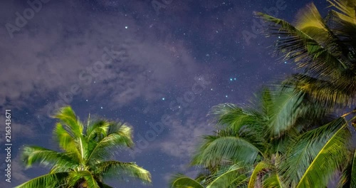 milky way over palms time lapse