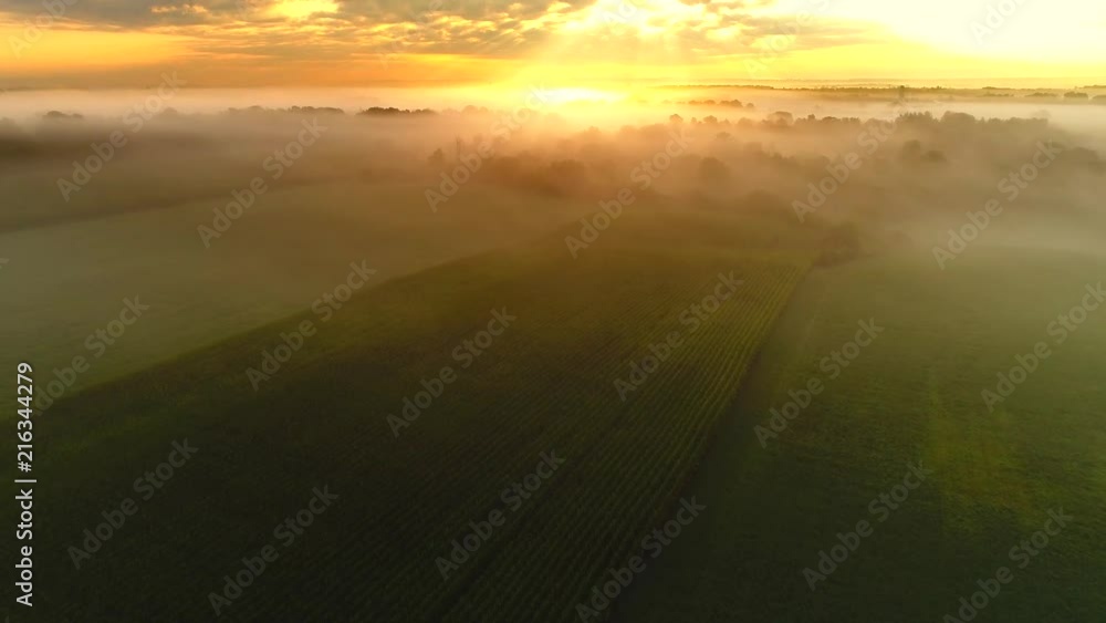 Ethereal fog shrouded rural landscape at sunrise with surreal beauty, aerial view.
Ethereal fog shrouded rural landscape at sunrise with surreal beauty, aerial view.