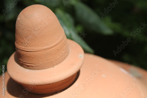 brown object in exotic garden salé morocco