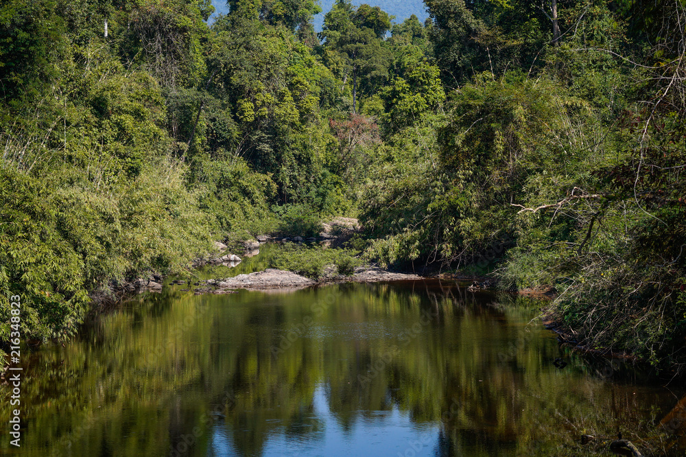 The river to Haew Narok waterfall in Khao Yai National Park