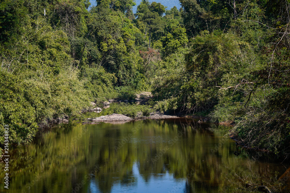 The river to Haew Narok waterfall in Khao Yai National Park The river to Haew Narok waterfall in Khao Yai National Park