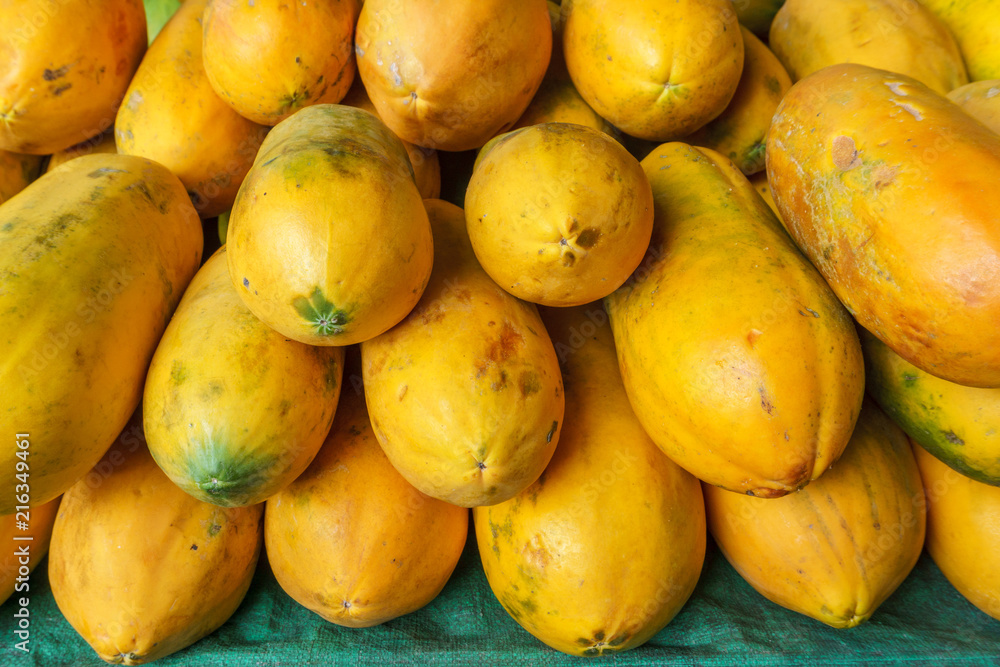 pile of freshly harvested papaya pile of freshly harvested papaya