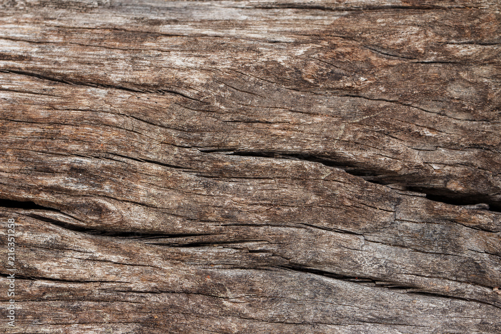 Texture of old wooden natural background Texture of old wooden natural background
