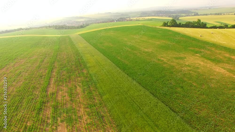 Cornfield from above at sunset. Cornfield from above at sunset.